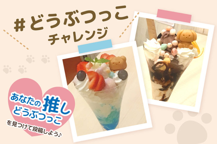 【カワイイを自慢しちゃう！？】カフェ風車の どうぶつっこチャレンジ☆＆スタッフ成長日記★